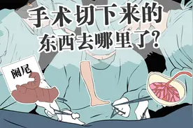 在医院做手术，切下来的器官都是怎么处理的？视频封面