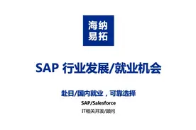 海纳易拓·10年SAP顾问浅谈2020年的SAP发展视频封面