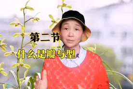 第2节|兰花的术语：什么是瓣与型？怎么区分兰花的瓣型？视频封面