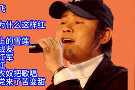 刀郎红歌精选10首联唱视频封面