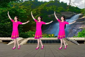 经典豫剧唢呐《百鸟朝凤》纯音乐版，48步广场舞附口令分解