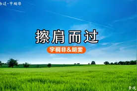 2007年网络流行歌曲《擦肩而过》-宇桐非&胡雯，前奏响起你就会唱