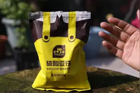 养喜酸植物施什么肥料？园艺师教你，用硫酸亚铁，给土壤增加酸性视频封面