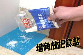 不管房子多大，墙角记得撒把食盐，并不是迷信，家家用得到，学学视频封面