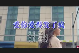 金艾娜 - 爱你爱得发了疯MTV