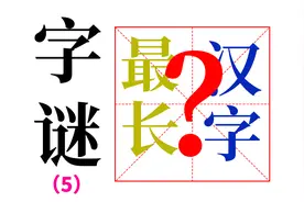 【神奇的汉字】第五期，字谜——汉字中最长的字视频封面