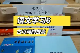 语文学习6：学古诗词应准备哪些资料？书籍、练习题、鉴赏辞典视频封面