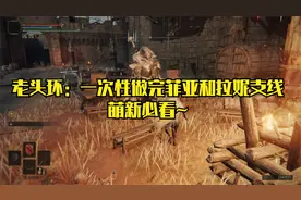艾尔登法环：16分钟内教你一口气做完拉妮与菲亚的支线任务攻略！