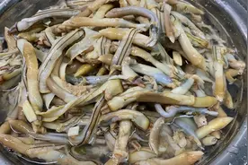 春天碰到此肉别手软，一次多囤些，放冰箱冻起来，随吃随取特省事视频封面