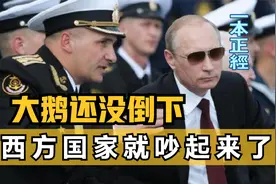 转机来了！西方出现意见分歧，大鹅的实力果然不虚！视频封面