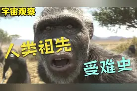 人类没有天敌？140万年前，恐猫曾大量捕食人类祖先！