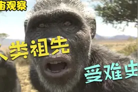 人类没有天敌？140万年前，恐猫曾大量捕食人类祖先！视频封面