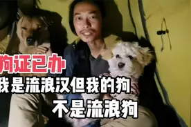 狗证已办，我虽然是流浪汉，但我的狗不是流浪狗视频封面