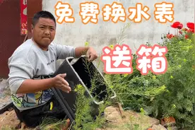 农村老家，水表免费换新了，还送了水表箱井，稍加改造就能使用！视频封面