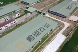 探访平原首个大型智能养猪场视频封面