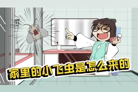 家里小飞虫都是哪来的？如何消灭它们呢视频封面