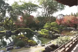 日本京都醍醐寺三宝院园林高清风光视频视频封面