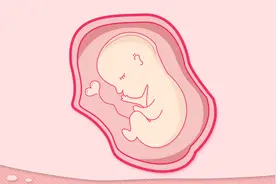 生完孩子后，胎盘都去了哪里了？医院收集后，一般是这2个流向视频封面