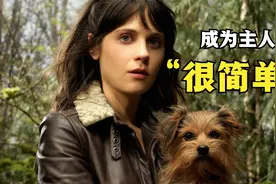 宠物与主人的关系（3）狗狗多大开始认主？怎么才能成为它的主人视频封面