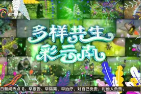 中科院昆明植物研究所 助力“植物王国”生态文明建设视频封面