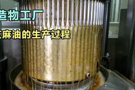 芝麻油的制作过程，早在2000年前，我国古人就已经食用芝麻油了视频封面