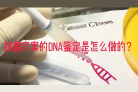 胡鑫宇案的DNA鉴定是怎么做的？#科普 #医学科普 #知识分享