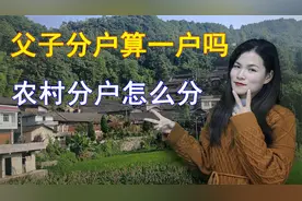 农村父子分户算一户还是两户？农村只有一处宅基地能分两户吗？视频封面