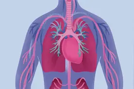 新冠是如何影响到我们心脏的视频封面