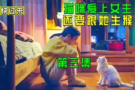 猫咪爱上女主人，还要跟她生猴子，韩剧《快过来》视频封面