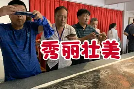 张际才的巨作让我震撼：原来南方山水除了秀丽，还可以如此壮美！视频封面