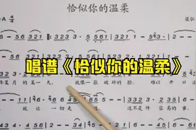 经典流行歌《恰似你的温柔》唱谱教学，送给你身边的那个她视频封面