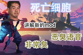 死亡细胞 新模组介绍 是伤害语音更改mod 恶臭语音 非常臭 下部