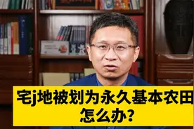 宅基地被划为永久基本农田怎么办？视频封面