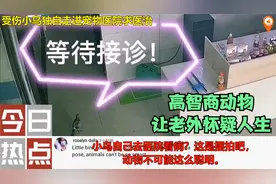 中国趣事集锦，外国网友：中国的生活真是丰富多彩，很神奇的国家视频封面