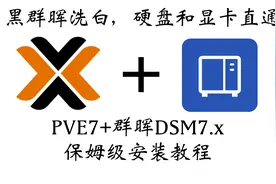 保姆级PVE安装黑群晖，硬盘，显卡直通教程视频封面