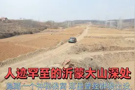 人迹罕至的沂蒙大山深处，隐藏一个神秘狼窝，那里曾经群狼出没