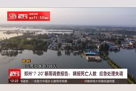郑州“7·20”暴雨调查报告：瞒报死亡人数  应急处理失调视频封面