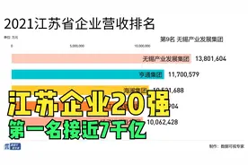 江苏企业20强出炉！2021江苏企业营收排行，苏宁第二视频封面