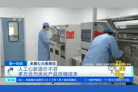 人工心脏造价不菲，多方合力优化产品压缩成本|第一时间