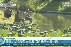 水清、岸绿、河畅、景美……“幸福河湖”把幸福送到家门口视频封面