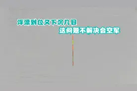 浮漂到位慢慢再下沉几目，是这里出了问题，不解决很可能空军！视频封面