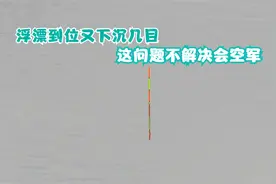 浮漂到位慢慢再下沉几目，是这里出了问题，不解决很可能空军！视频封面
