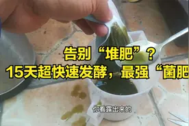 别再堆肥了！15天发酵最强“菌肥”，简单、无臭、肥足！视频封面
