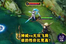 神威vs无双飞将，马超人气皮肤详细对比，谁的性价比更高？
