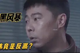扫黑风暴：裴伟竟是反派吗？视频封面