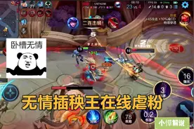 梦泪职业号低调单排，国服插秧王过于凶残，打得对面粉丝要取关！视频封面