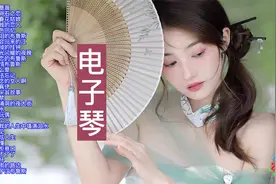 30首韩国双电子琴音乐联奏，太好听了