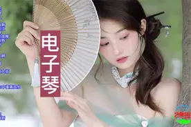 30首韩国双电子琴音乐联奏，太好听了