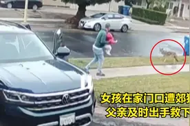监控下惊险一幕，女孩在家门口遭郊狼袭击，父亲及时出手救下孩子视频封面