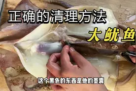 大鱿鱼正确的清理方法应该是这样的视频封面